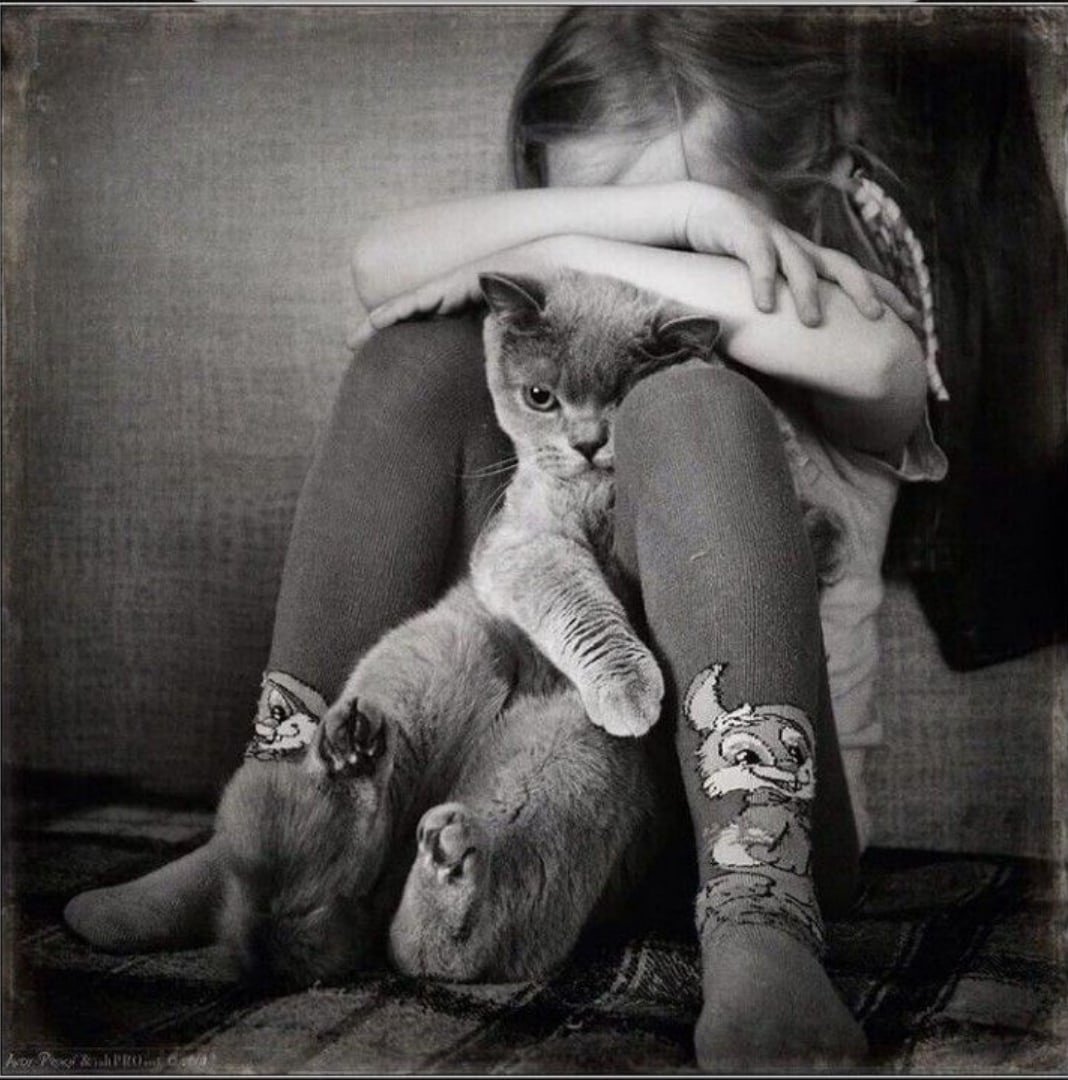 Девушка обнимает кота
