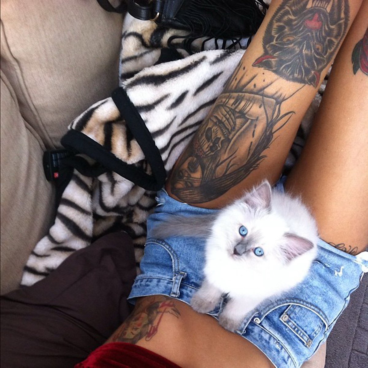 Девушка с котиком на руках