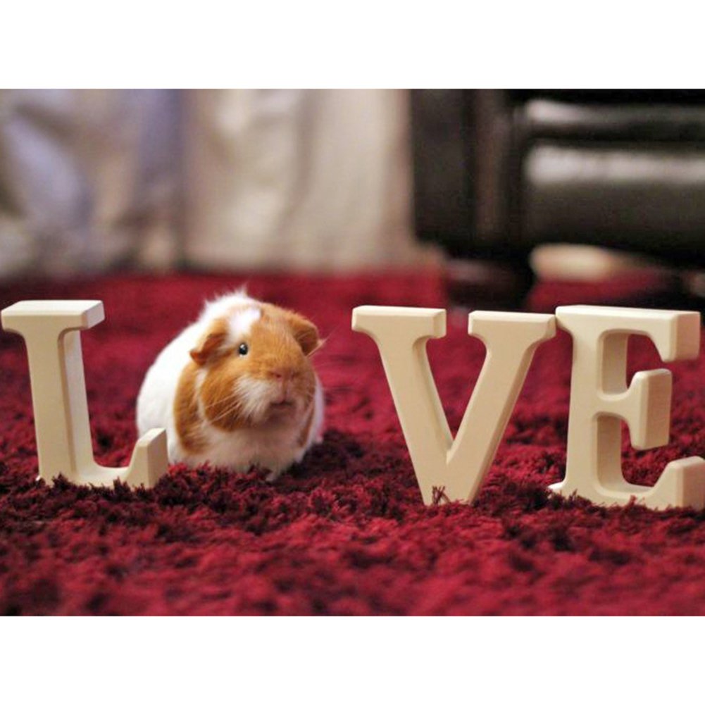 Морская Свинка обыкновенная