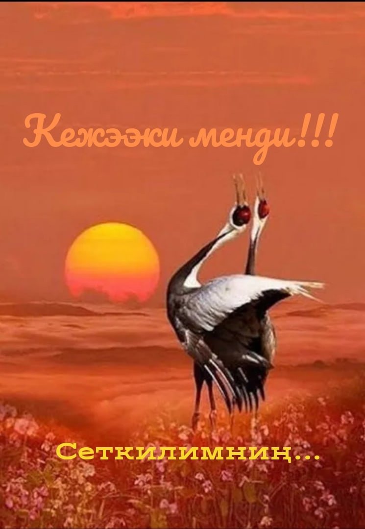 Журавли на закате