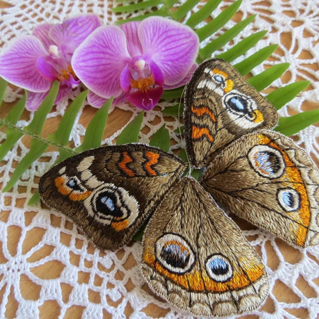 Бабочка на цветке