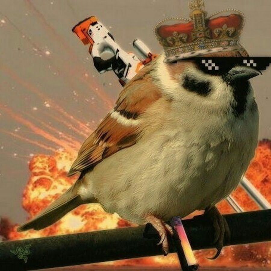 Китагава Утамаро птицы