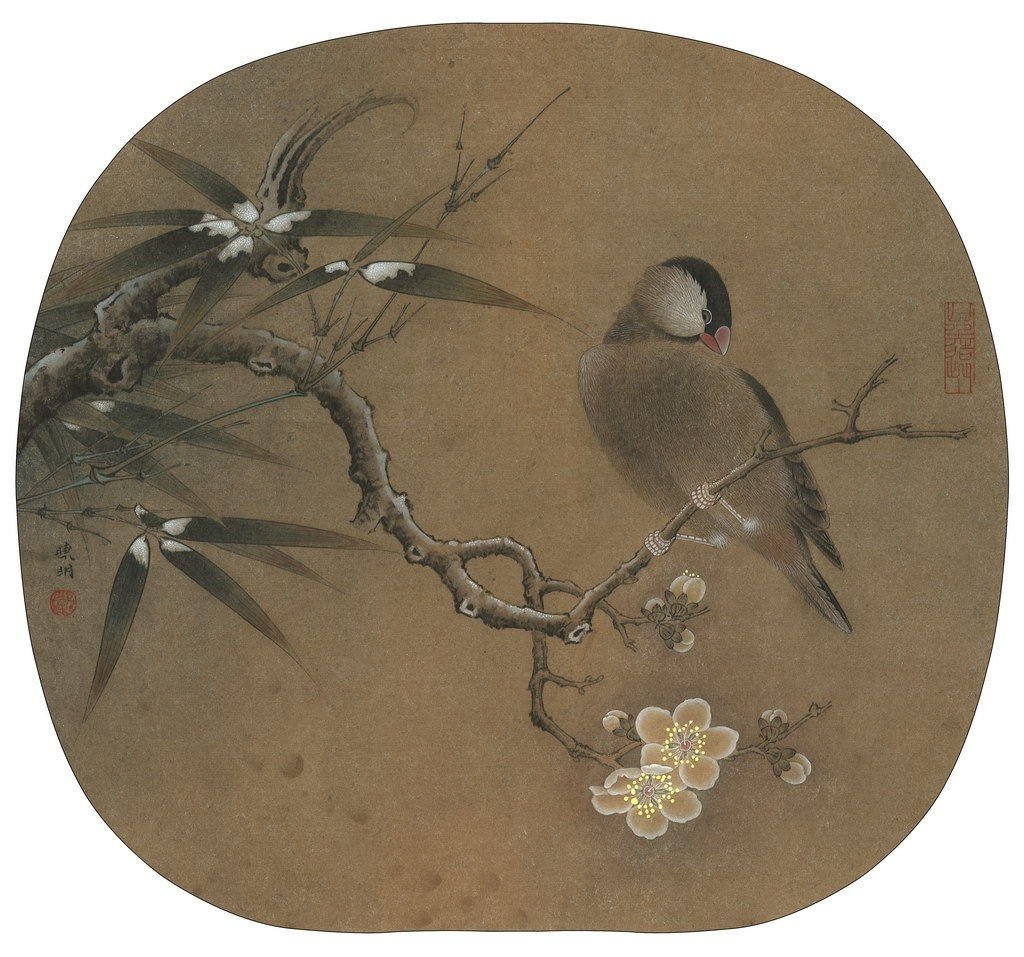 Смешной Воробушек