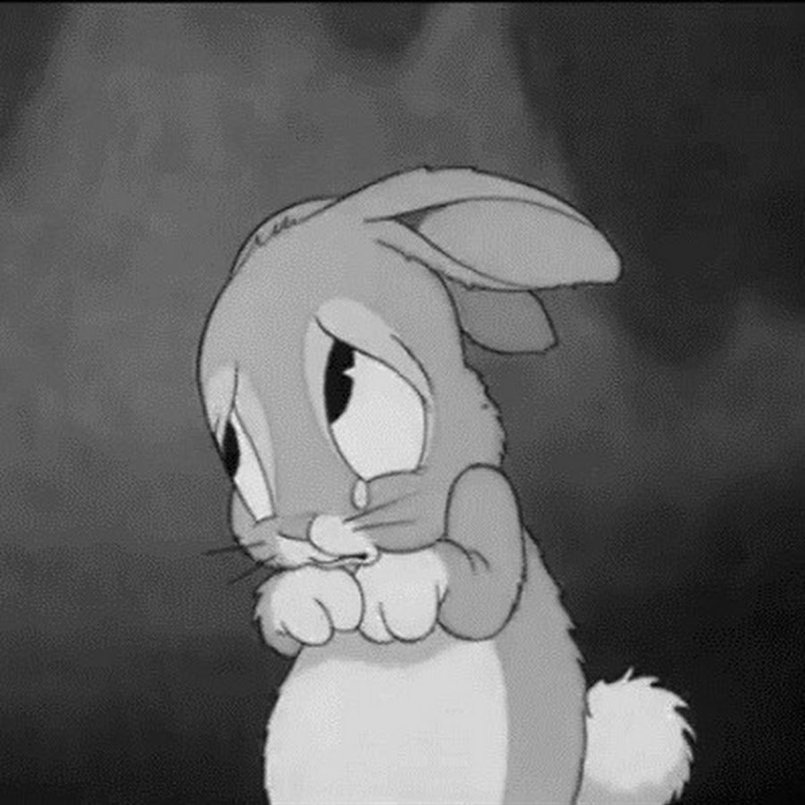 Заяц плачет