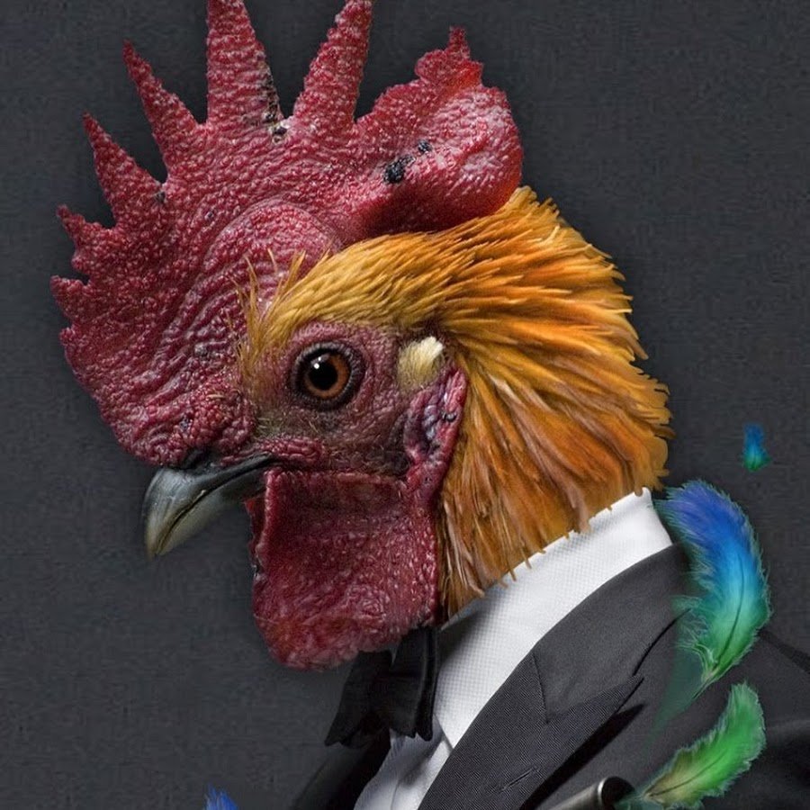 Прикольный петух