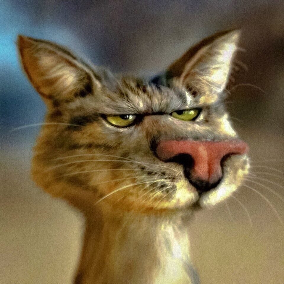Смешные морды котов