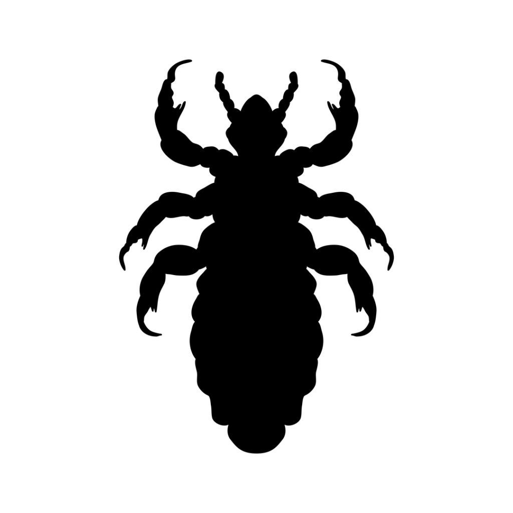 Маленькие букашки в волосах