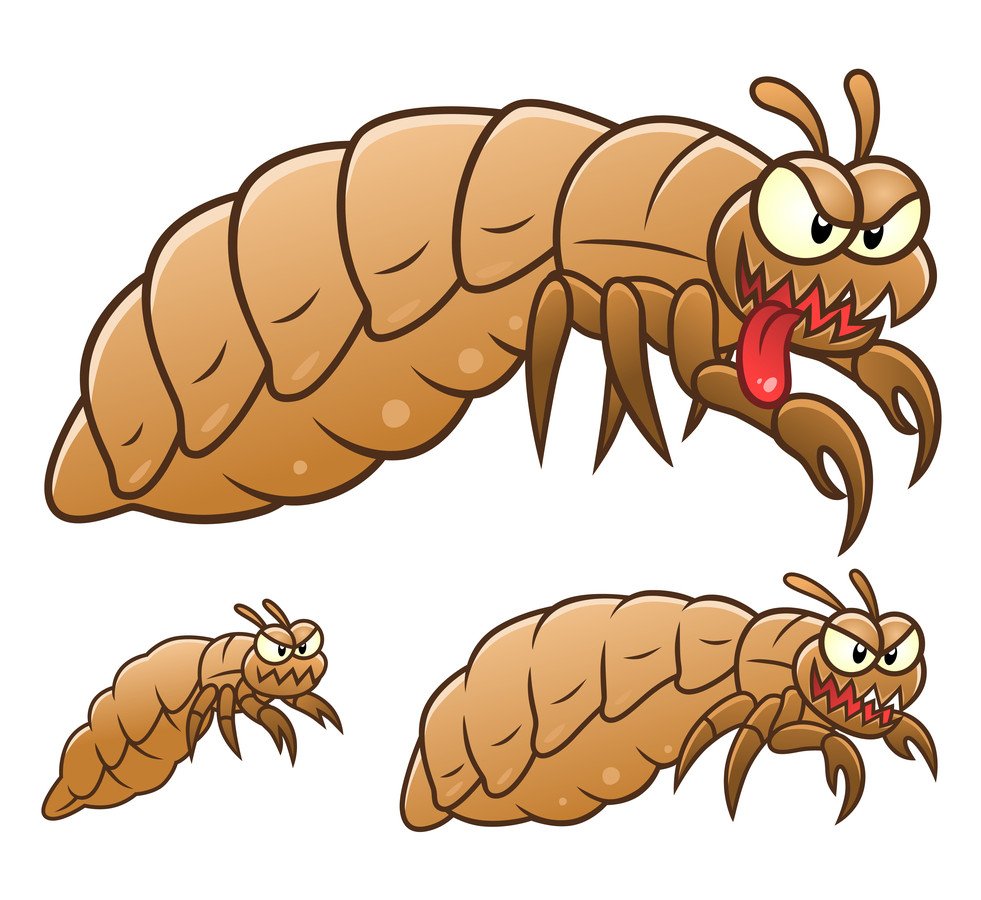 Вошь 3д рисунок