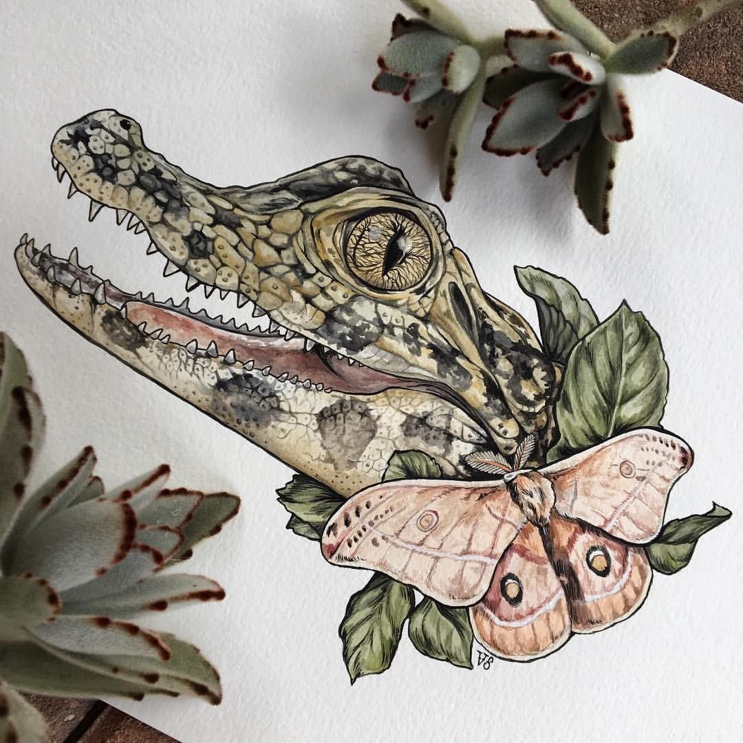 Крокодил в профиль