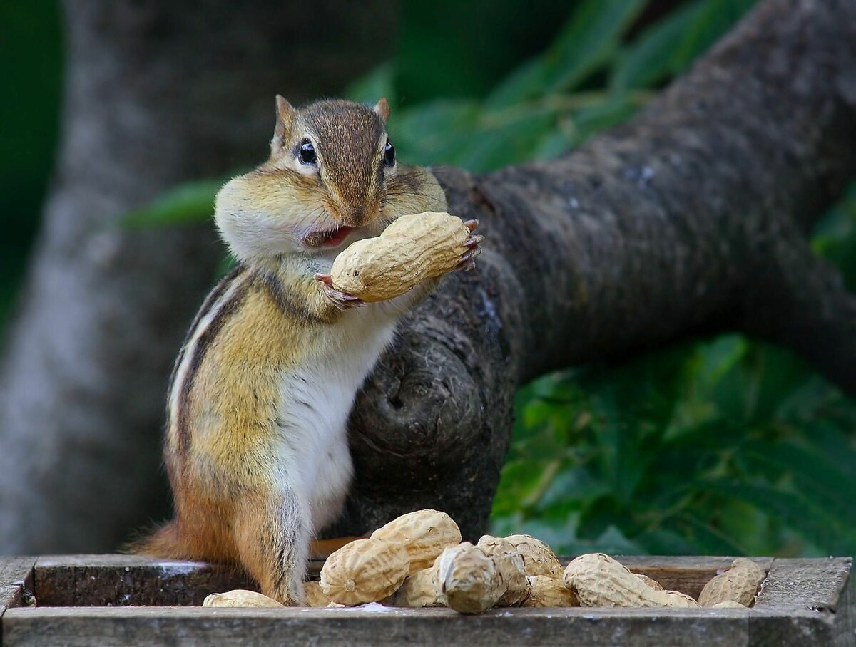 Евгения Левина фотограф
