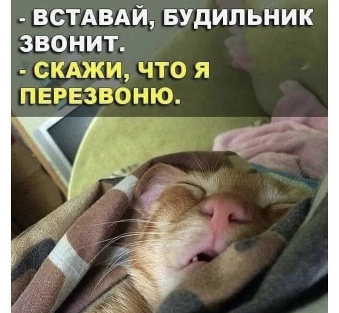 Нора бурундука