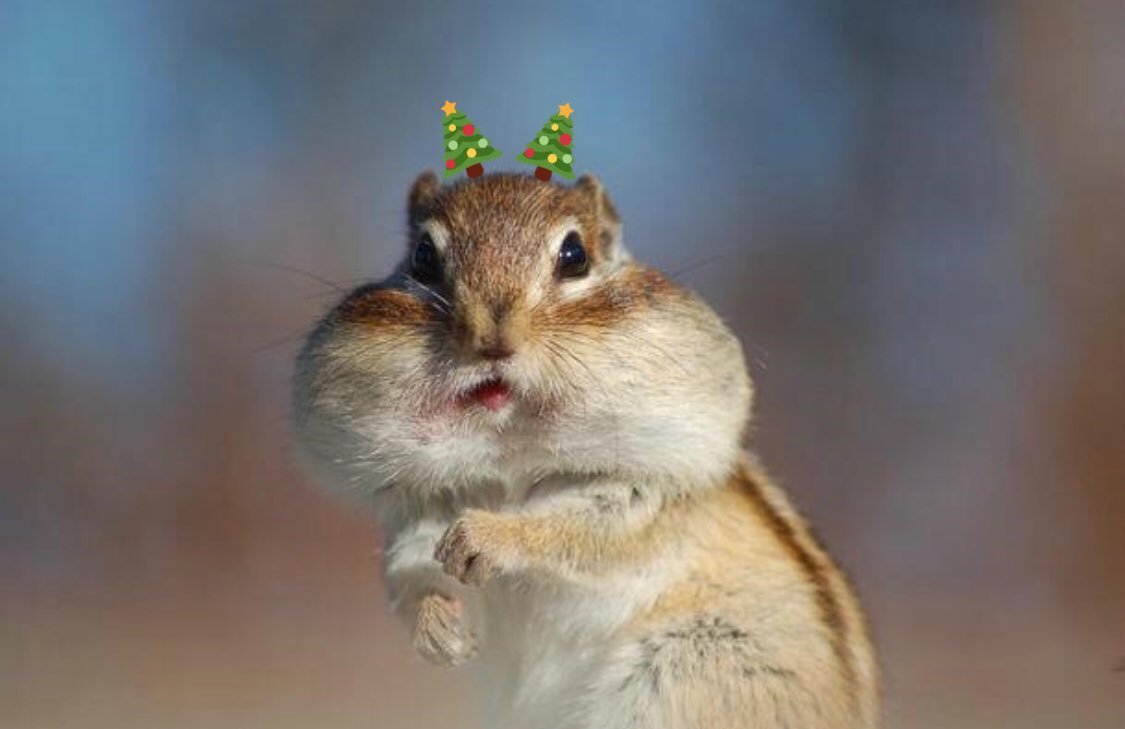 Бурундук с защечными мешками