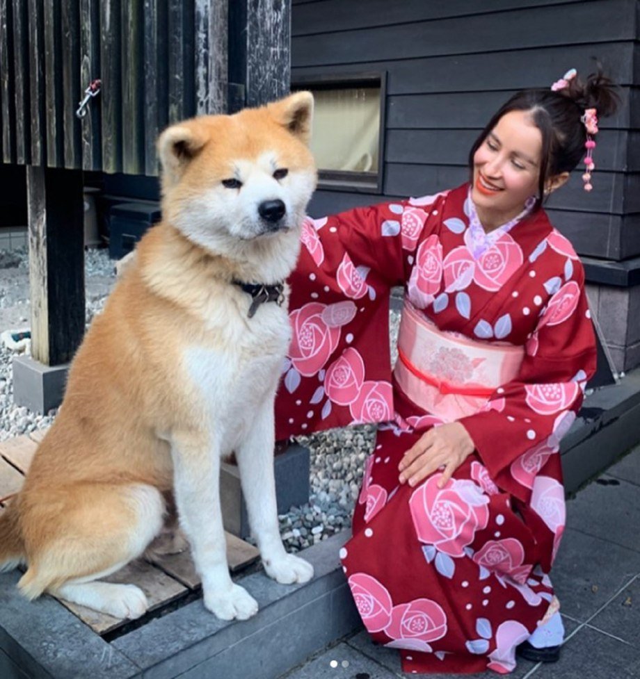 Акита ину ТЭ