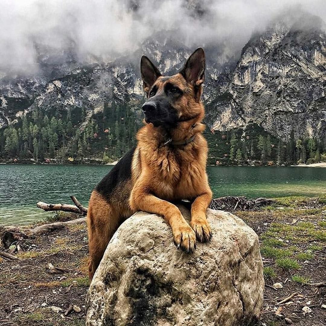 Драйна много не бывает