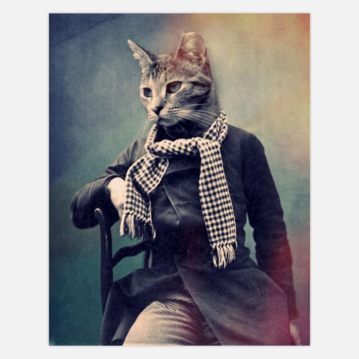 Деловой кот