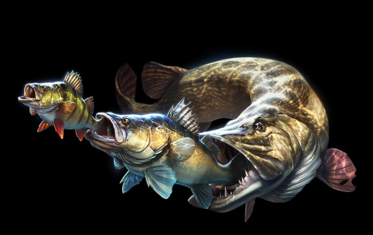 Рыба хищник Речная