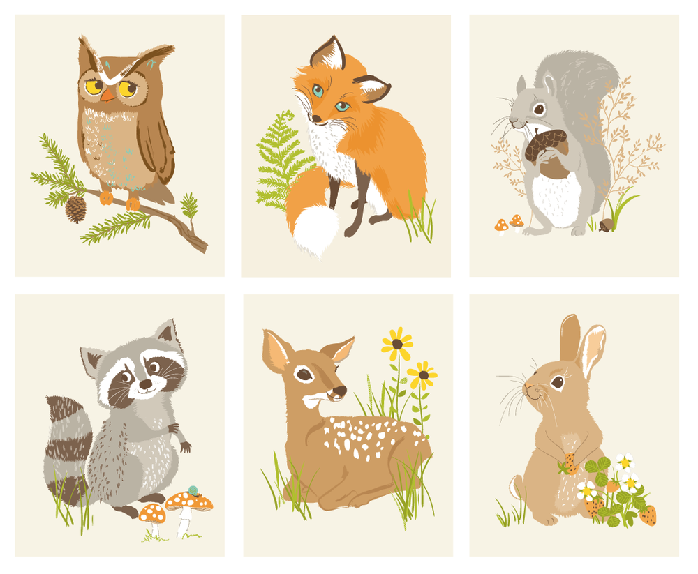 Книги о птицах