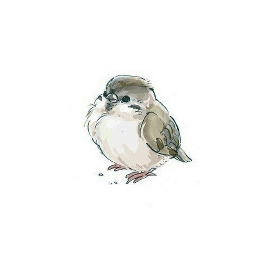 Раздаточный материал по математике цыплята