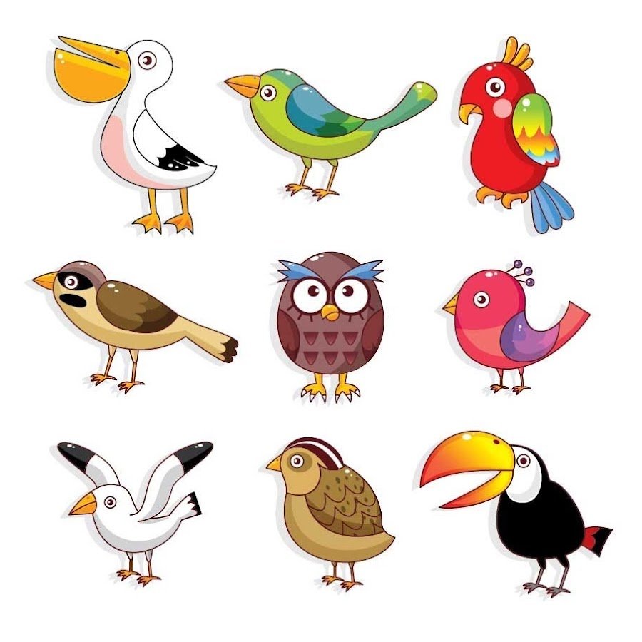 Птицы для детей