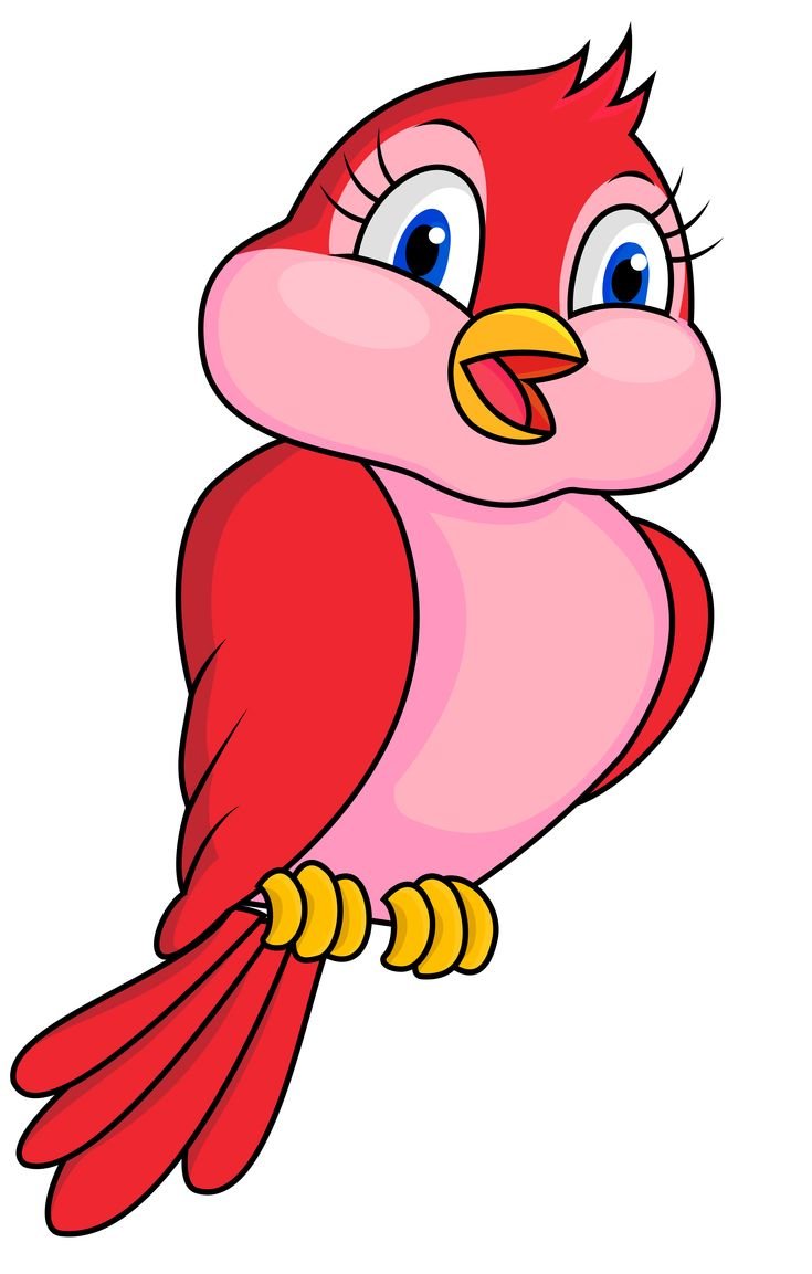 Красивые и милые животные