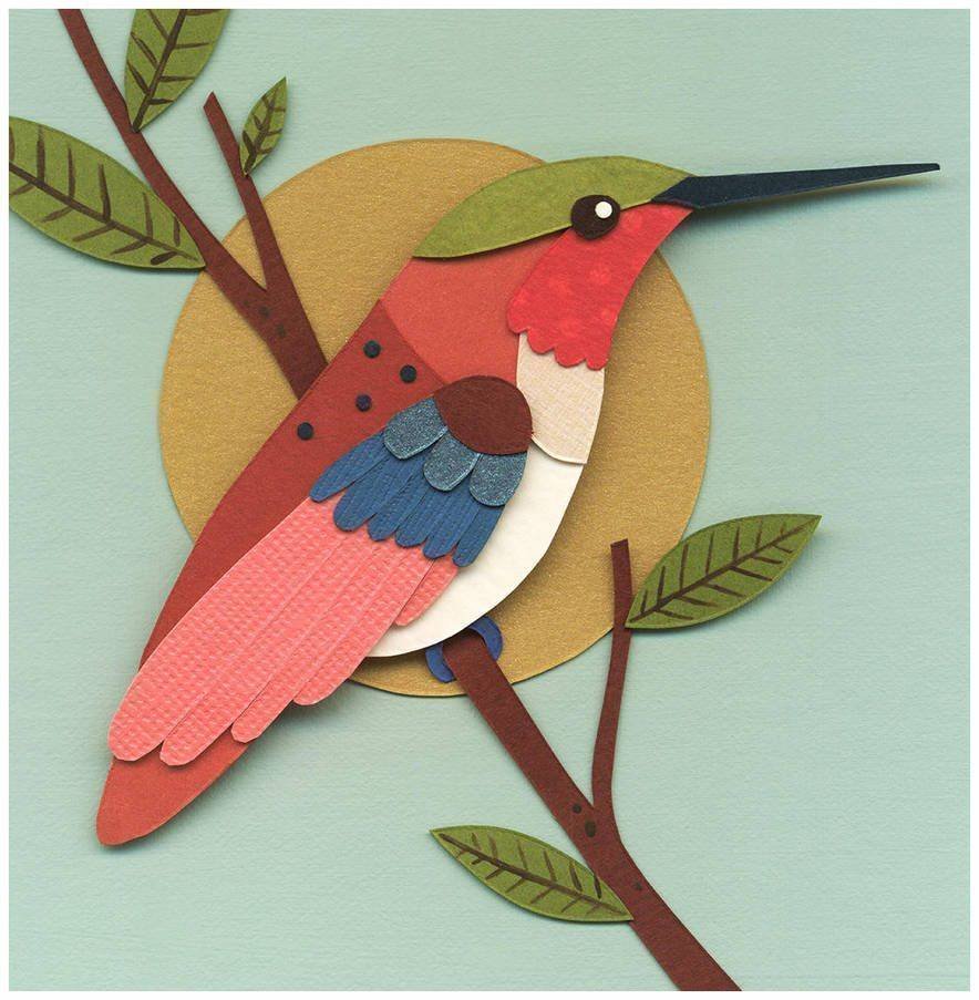 Домашние птицы для дошкольников