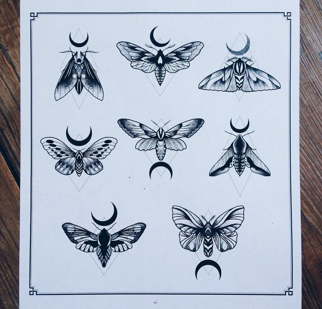 Мотылек эскиз