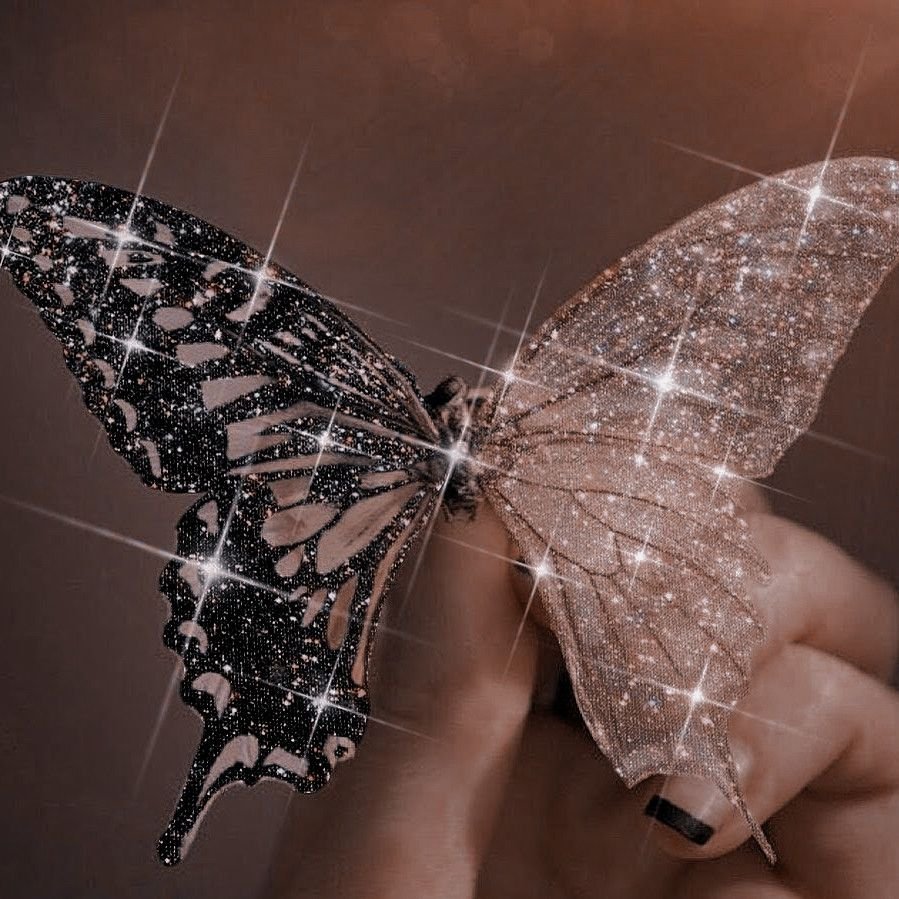 Бабочки для эстетики