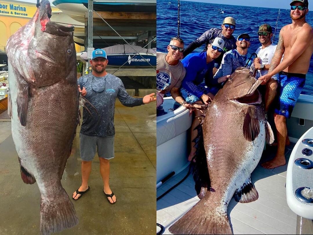 Рыба уплывает