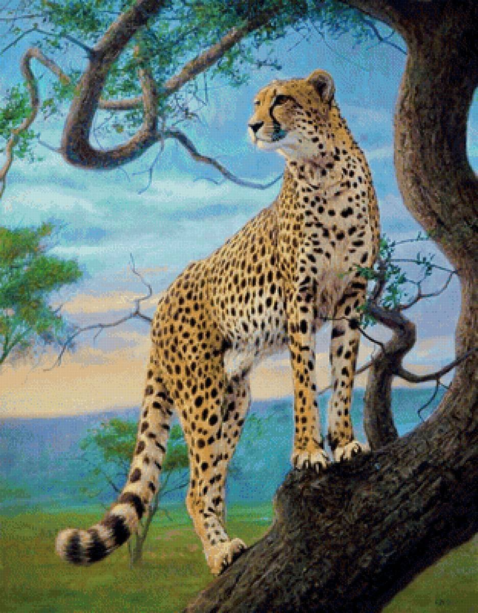 Гепард картина