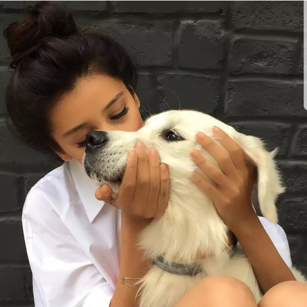 Чихуа волосами