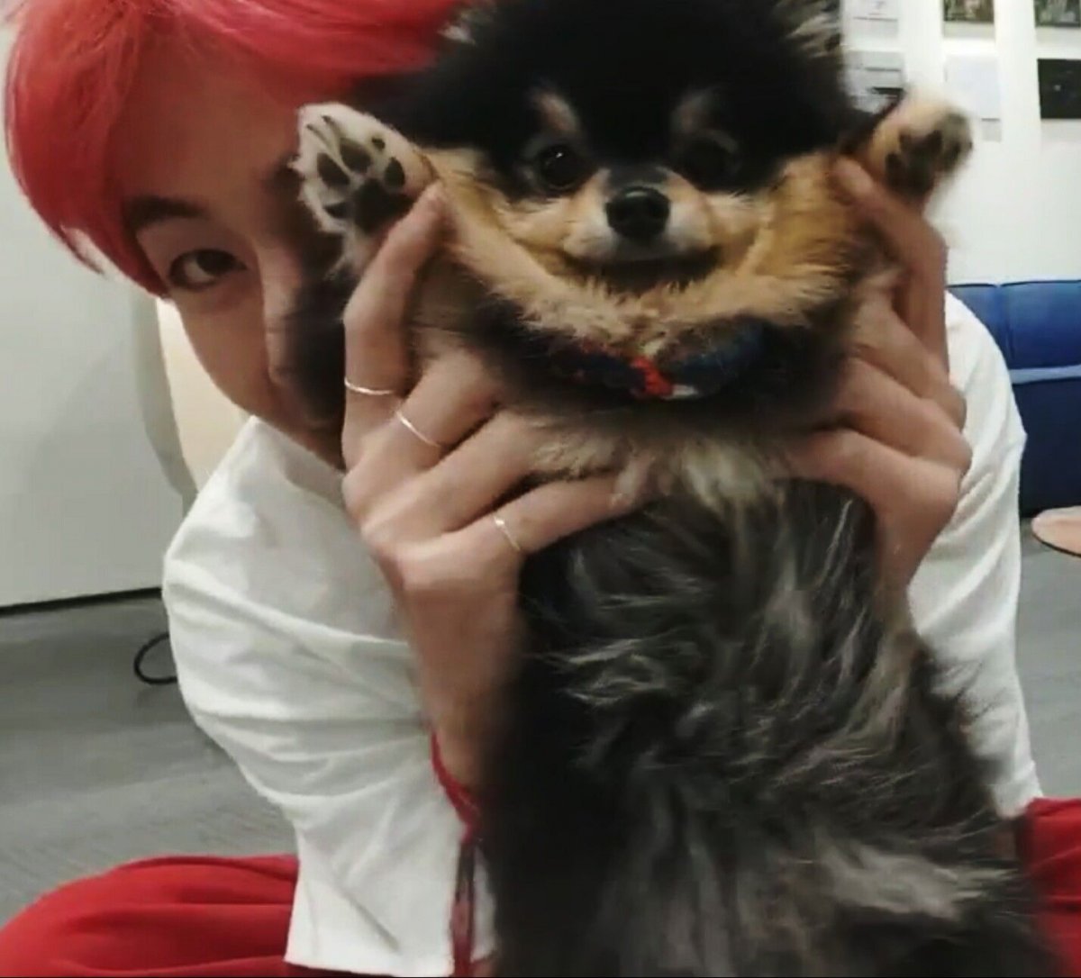 Мальтипу Эстетика