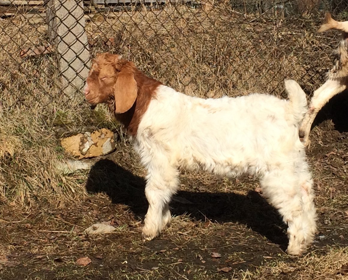 Мурсия Гранада