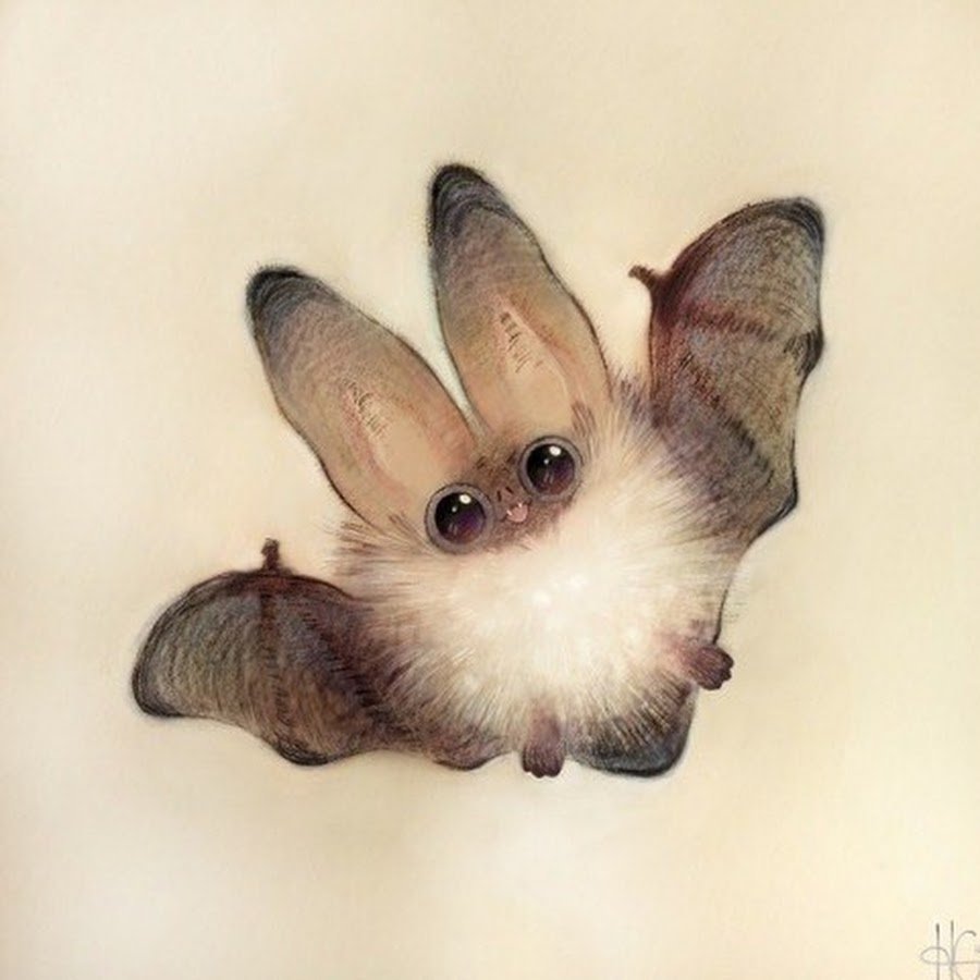 Летучая мышь подковонос