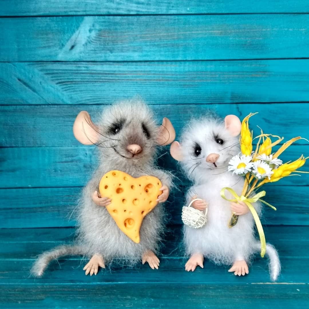 Мышь для дошкольников