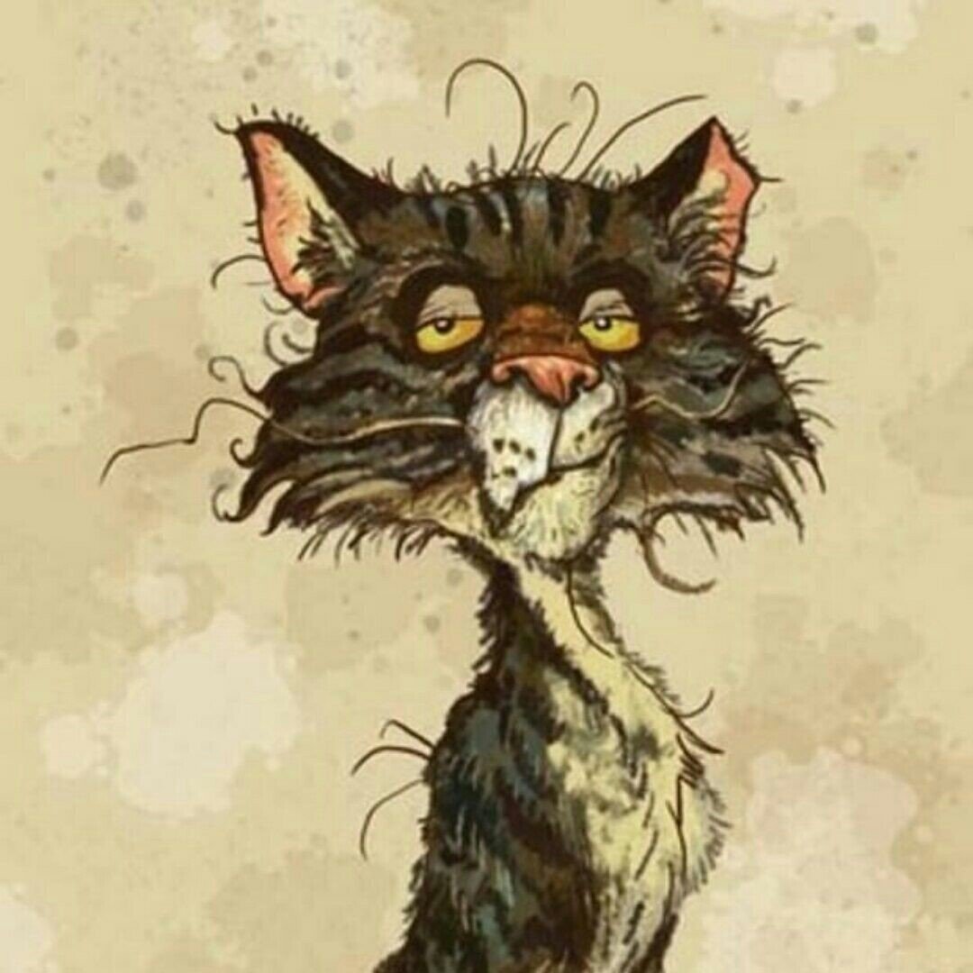 Кошачий уют