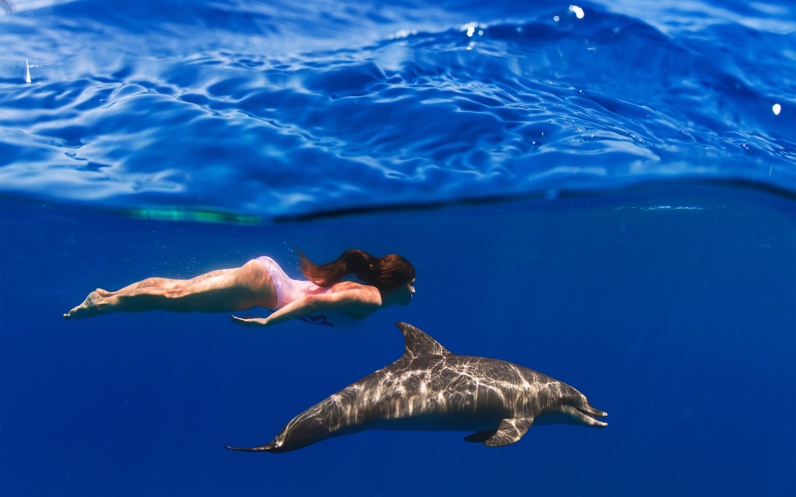Удовольствие с дельфином. Девушка и Дельфин. Дельфины в море. Дельфин в воде. Девушка плавает с дельфинами.