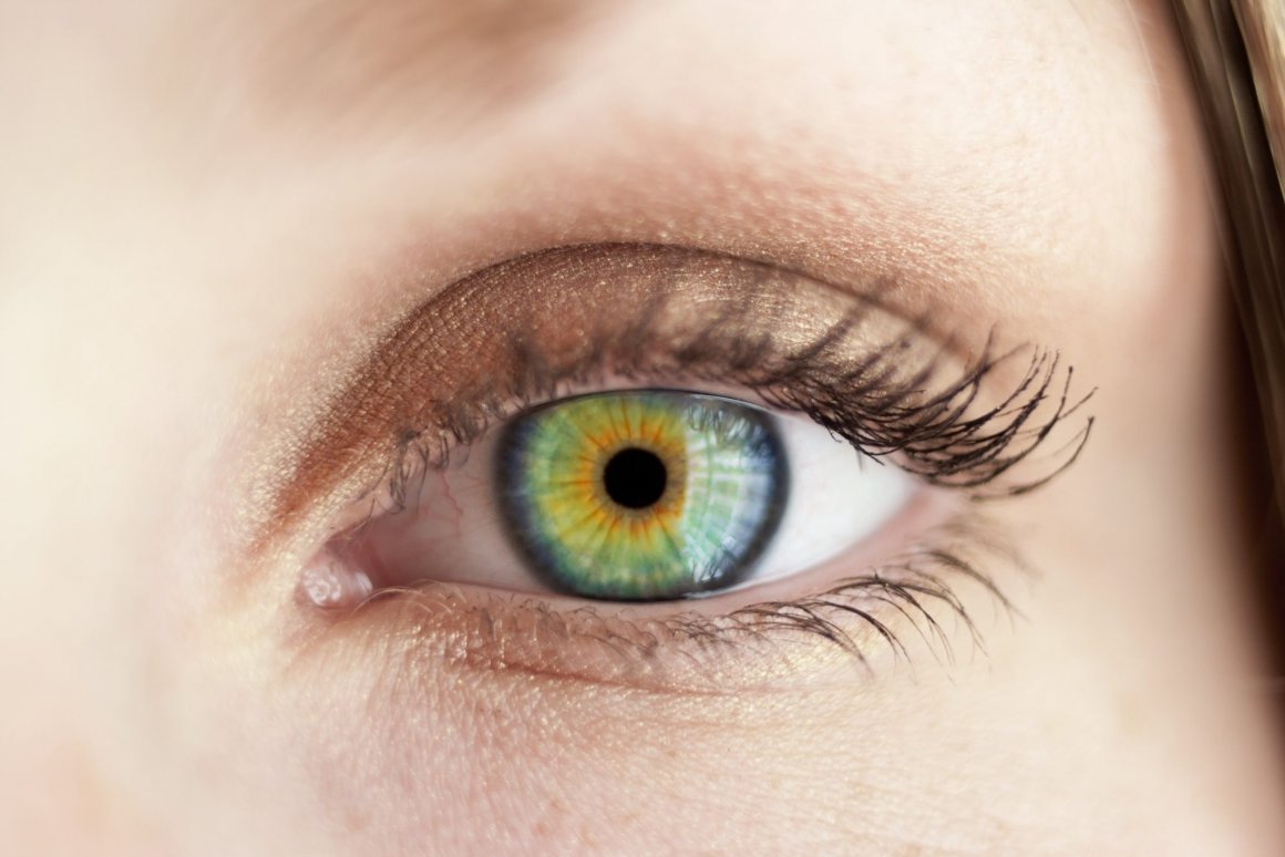 Геккон Смита