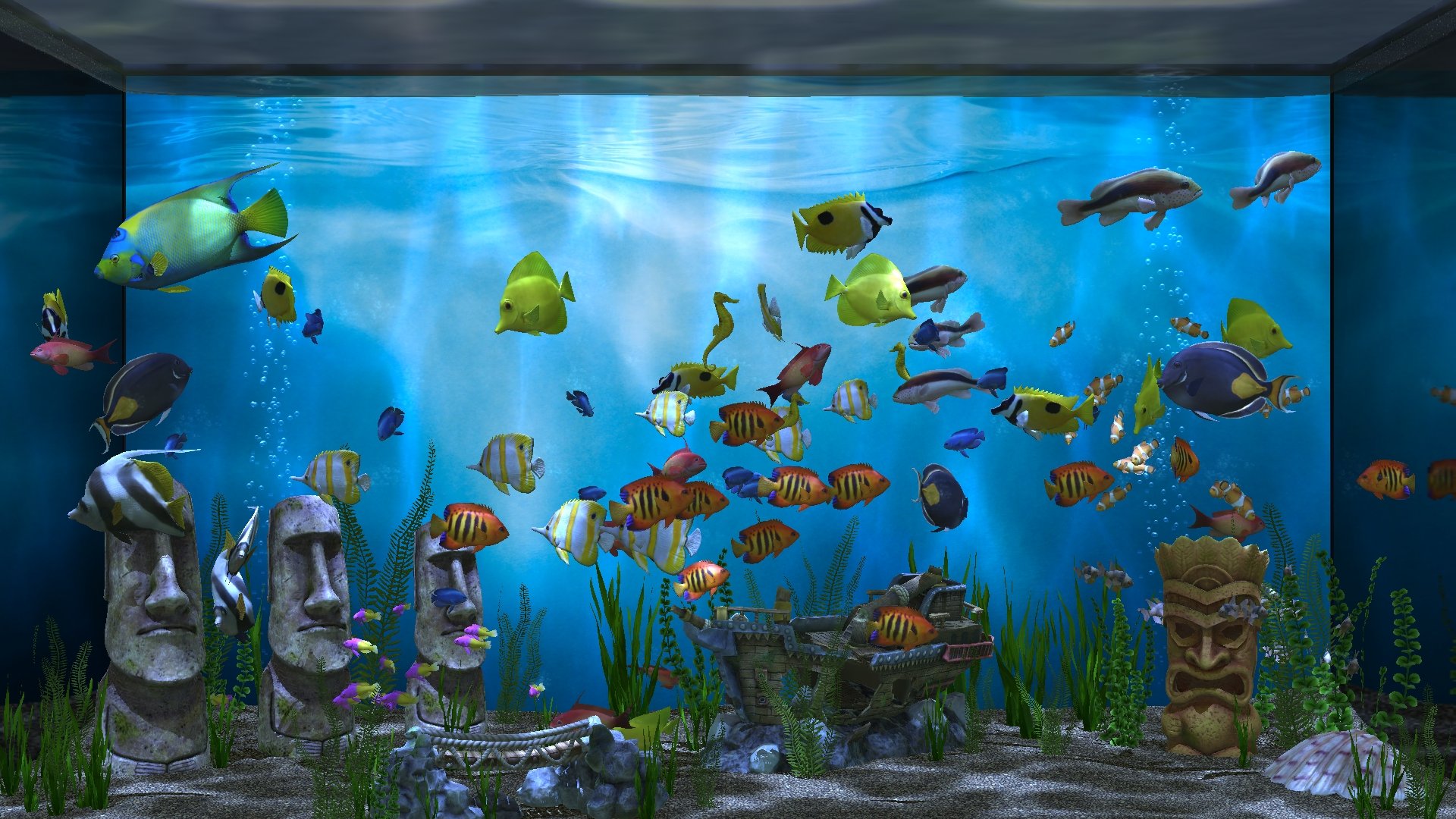 Аквариум ч рыбками. Рыбки для аквариума. Красивые аквариумы. Большой аквариум с рыбками. Красивые рыбки для аквариума.
