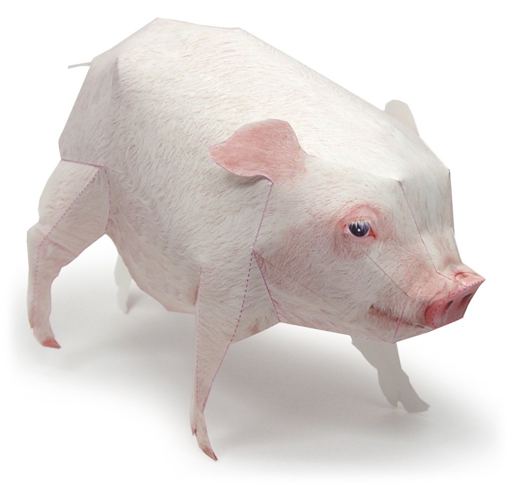 Макет свиньи