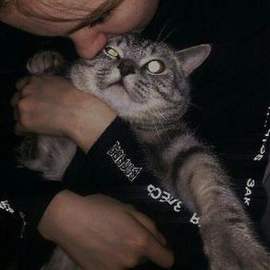 Уральская Лесная кошка