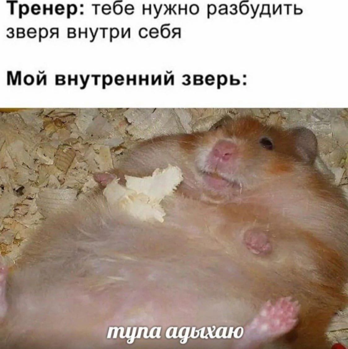 Внутренний зверь хомяк