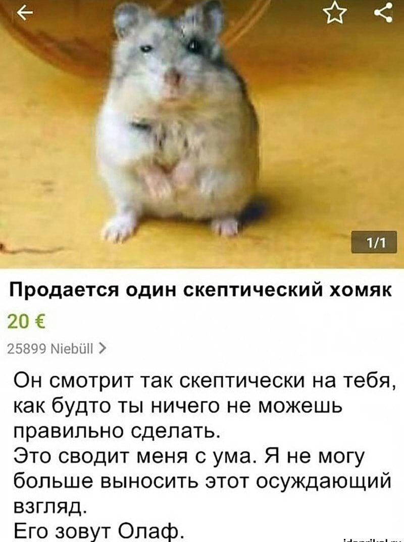 Скептический хомяк