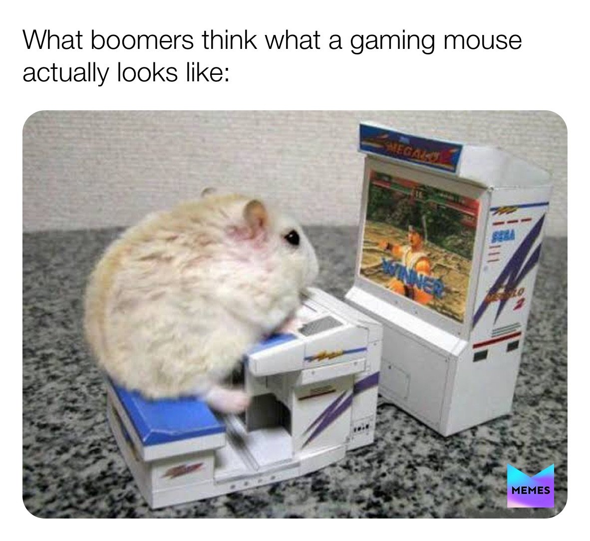 Мышь за компьютером