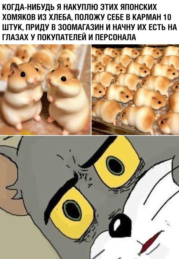 Мемы про хомяков