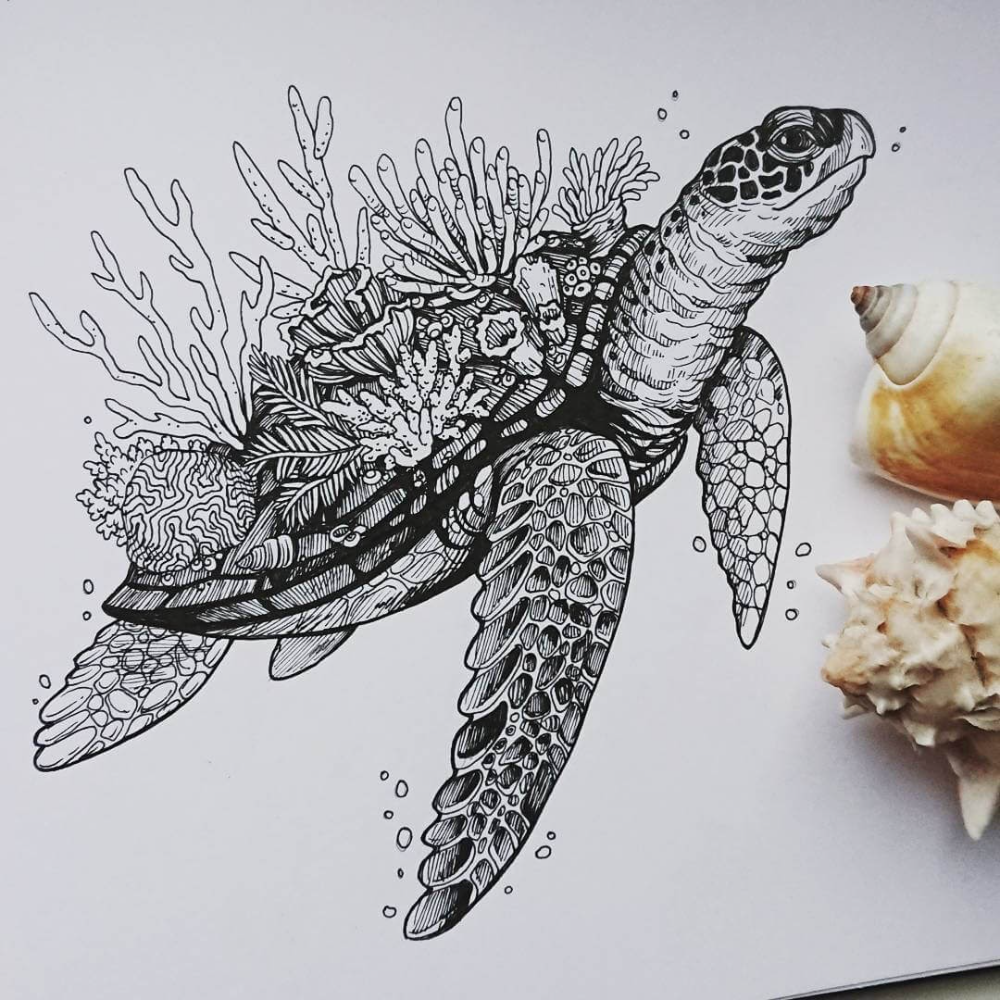 Крылатка-Зебра чернополосая дьявол