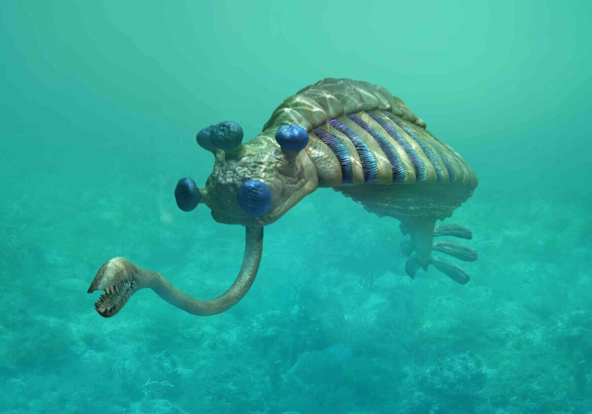 Батик Майский Жук