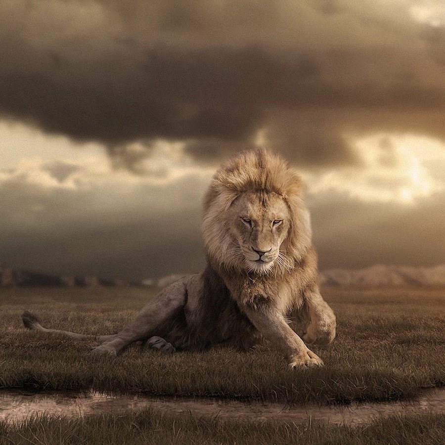 Кевин Ричардсон Заклинатель зверей