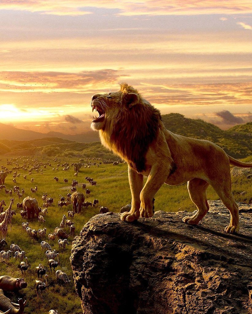 Лев в атаке