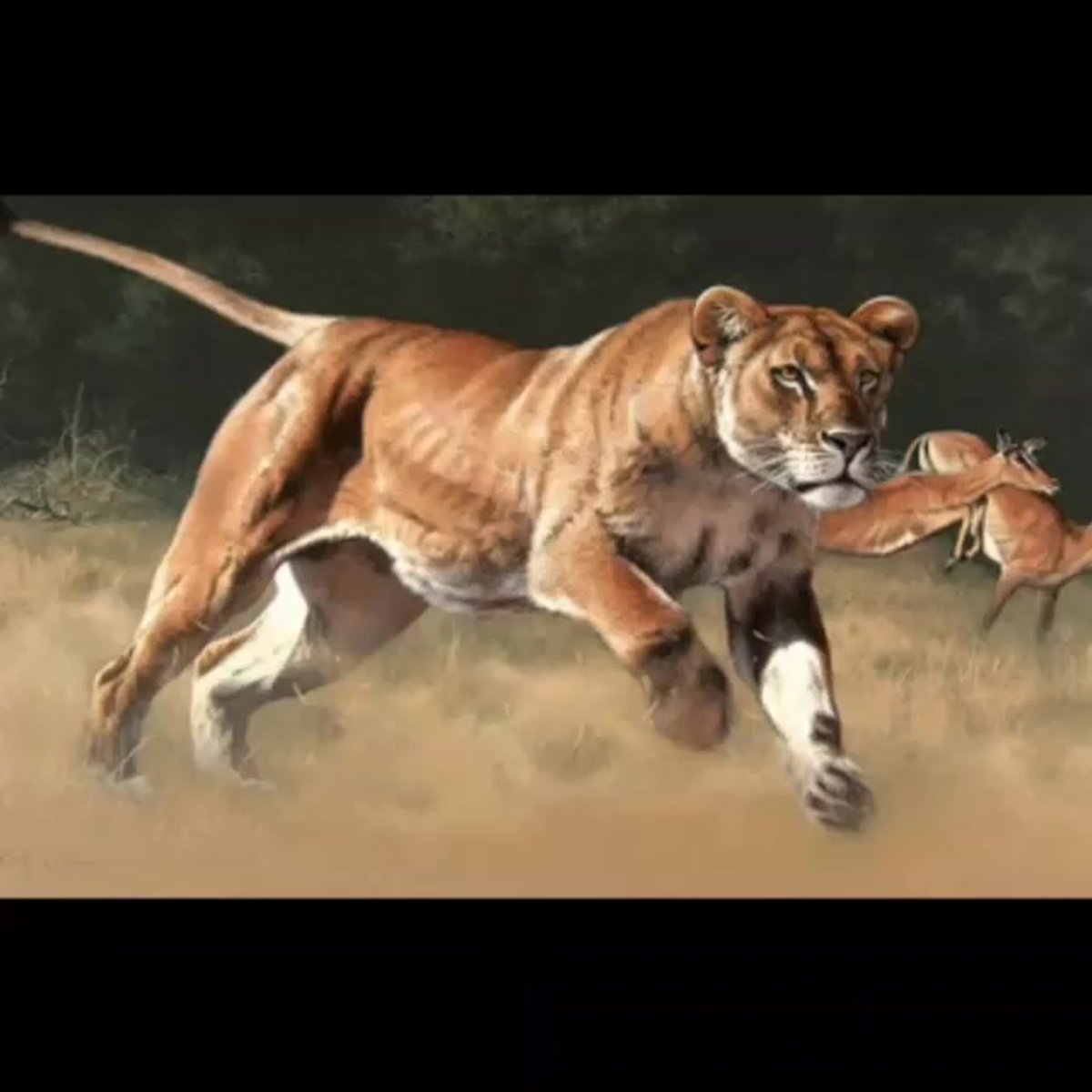 Кевин Ричардсон Заклинатель Львов