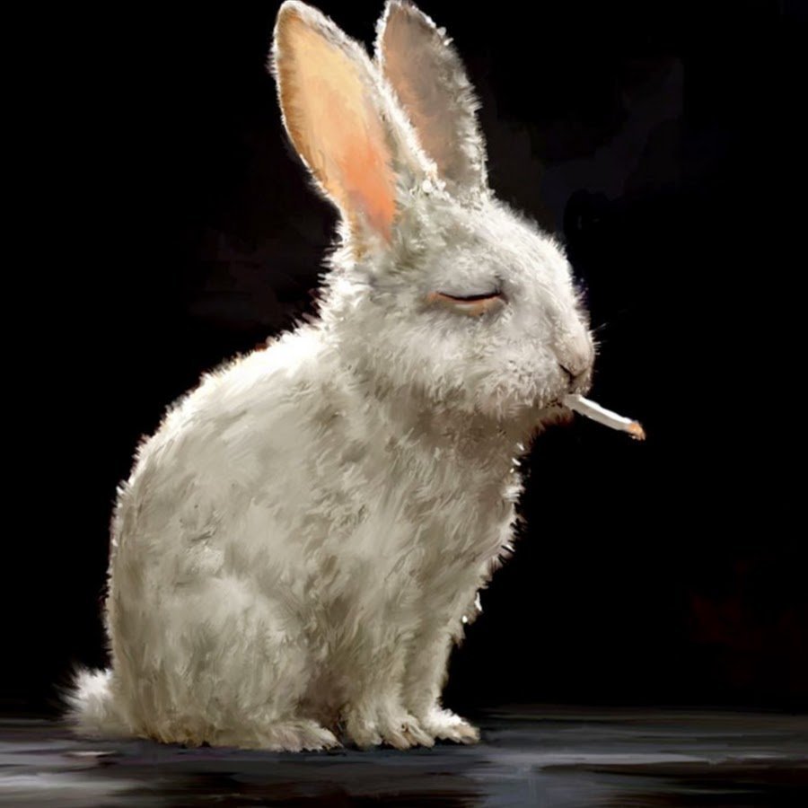 Мем с толстым зайцем